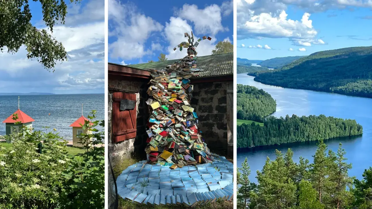 Konstinstallation av böcker som rinner nerför en vägg, en sjö med röda tak och en vacker sjö med skogsklädda öar. Guldkorn i Småland.