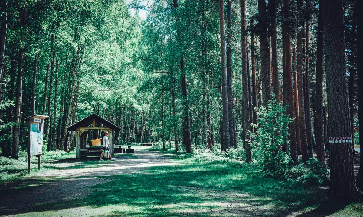 En man vilar vid ett vindskydd i Tivedens nationalpark, omgiven av höga träd och grönskande natur.