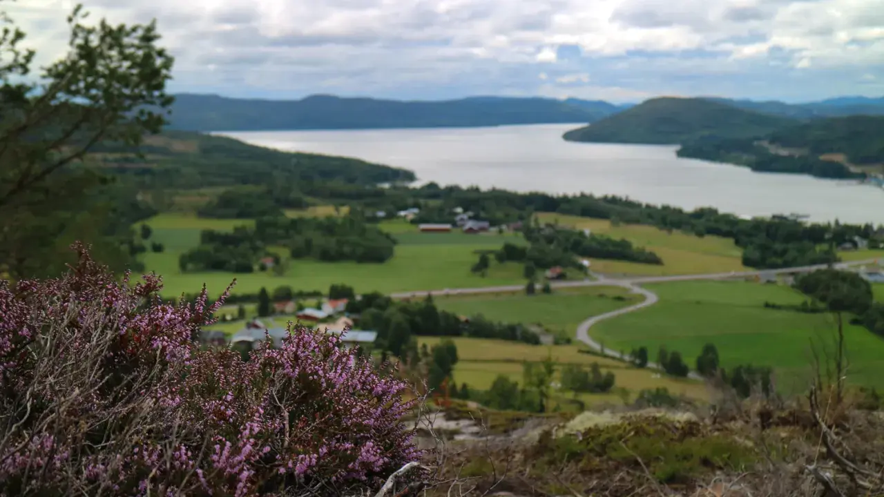 Vacker vy över en svensk sjö med grönskande landskap och en slingrande väg. En perfekt plats för upplevelser i Sverige.