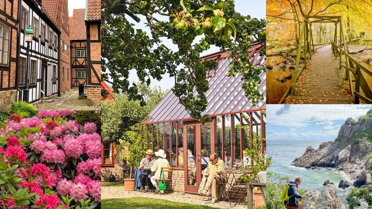 Utforska Skånes charmiga gränder, njut av fika vid ett växthus, vandra i höstfärgad skog eller klättra vid havet. Många aktiviteter Skåne vuxna kan uppleva!