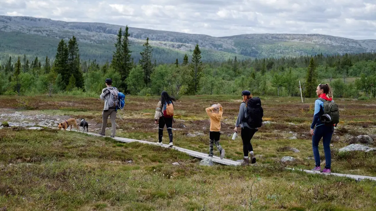 En familj med hundar njuter av en vandring i Storhogna. En spång leder genom ett vackert landskap med skog och berg.