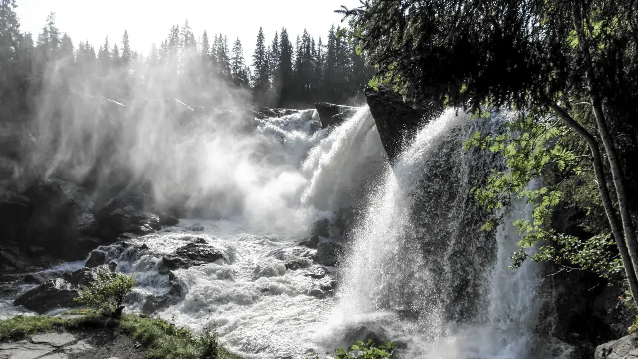 Kraftfullt vattenfall i Sverige med dimma som stiger upp mot en skog av granar.