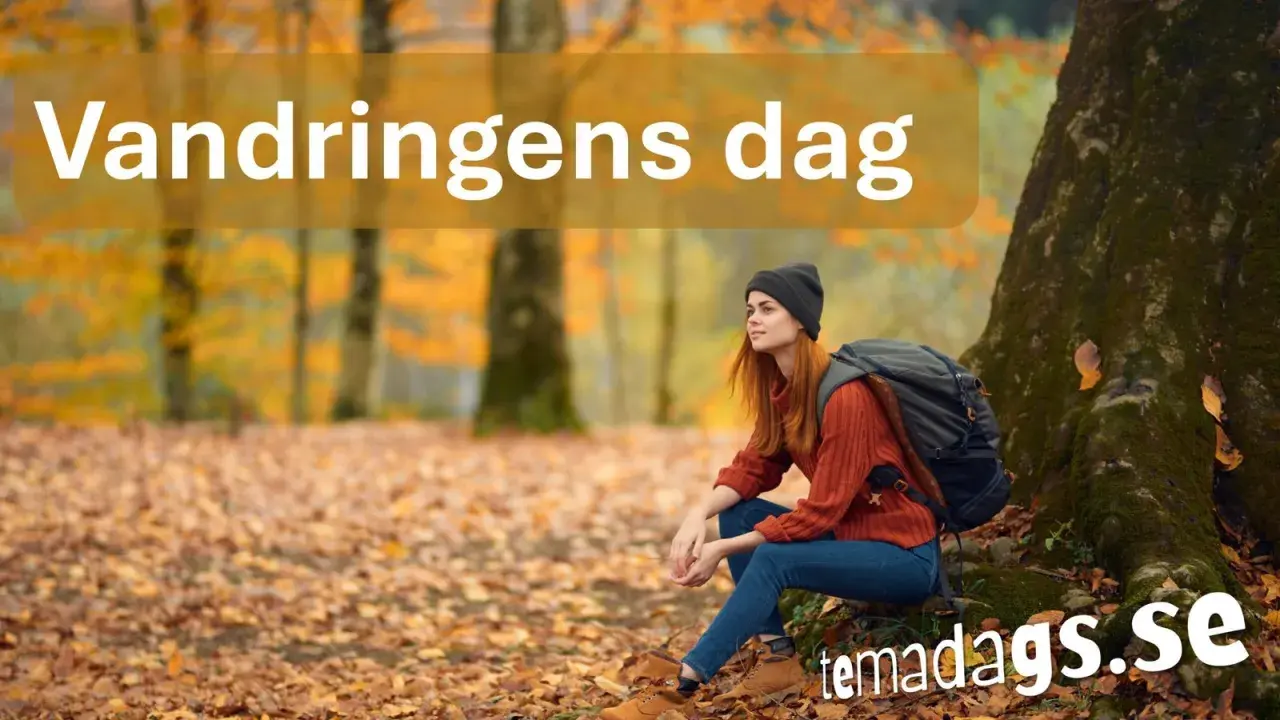 En kvinna med ryggsäck vilar vid ett träd under vandringens dag. Höstlöv täcker marken.
