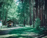 En man vilar vid ett vindskydd i Tivedens nationalpark, omgiven av höga träd och grönskande natur.