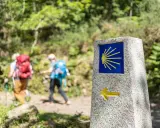 Pilgrimer på Santiago de Compostela vandring följer en sten med snäckskalssymbolen och en pil.