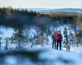 Två skidåkare med hund vandrar genom ett snötäckt landskap vid Koppången, Orsa. Solen lyser på de snöklädda träden.