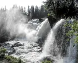 Kraftfullt vattenfall i Sverige med dimma som stiger upp mot en skog av granar.