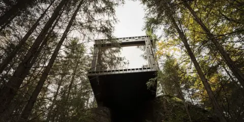 En modern kub med stora fönster svävar bland träden på Hyssna Forest Resort.