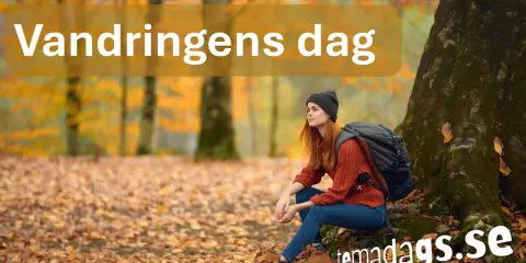 En kvinna med ryggsäck vilar vid ett träd under vandringens dag. Höstlöv täcker marken.