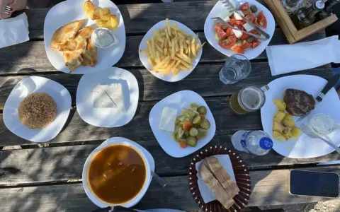En härlig måltid med albansk mat: kyckling, ris, pommes frites, sallad, kött och bröd.