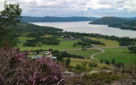 Vacker vy över en svensk sjö med grönskande landskap och en slingrande väg. En perfekt plats för upplevelser i Sverige.