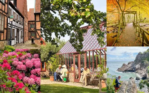 Utforska Skånes charmiga gränder, njut av fika vid ett växthus, vandra i höstfärgad skog eller klättra vid havet. Många aktiviteter Skåne vuxna kan uppleva!