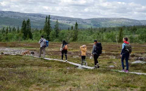 En familj med hundar njuter av en vandring i Storhogna. En spång leder genom ett vackert landskap med skog och berg.