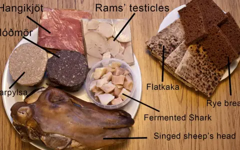 En tallrik med isländsk mat: hangikjöt, blóðmör, lifrarpylsa, rams' testiklar, fermenterad haj, singed sheep's head, flatkaka och rågbröd.