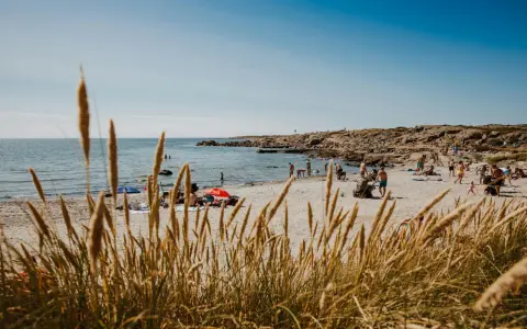 En solig stranddag i Halland med folk som badar och solar. Ett perfekt utflyktsmål för hela familjen.