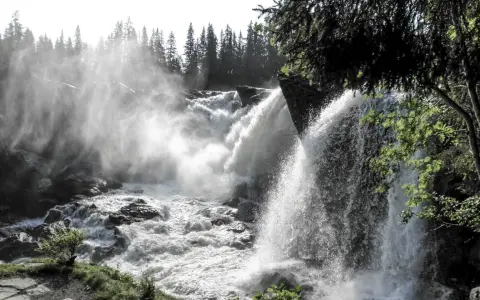 Kraftfullt vattenfall i Sverige med dimma som stiger upp mot en skog av granar.