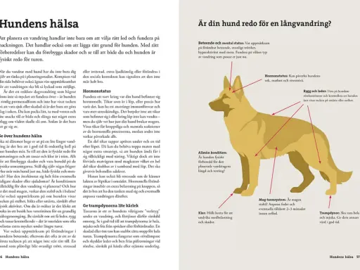 Hundens hälsa: Förberedelser för vandring med hund, inklusive koll av leder, klor och trampdynor.