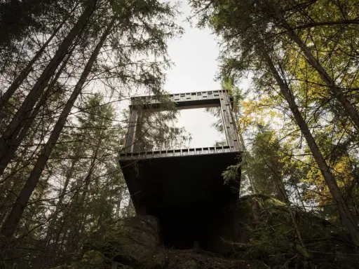 En modern kub med stora fönster svävar bland träden på Hyssna Forest Resort.