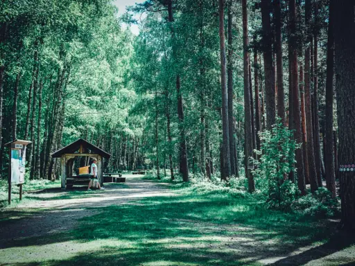 En man vilar vid ett vindskydd i Tivedens nationalpark, omgiven av höga träd och grönskande natur.