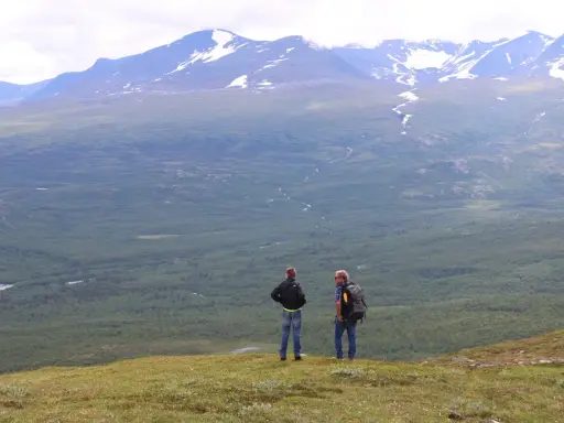 Två vandrare njuter av utsikten över vidsträckta fjäll och skogar, kanske under en vandra abisko 3 dagar. Snöklädda berg tornar upp sig i bakgrunden.
