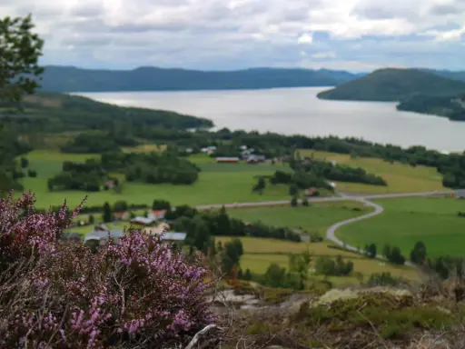 Vacker vy över en svensk sjö med grönskande landskap och en slingrande väg. En perfekt plats för upplevelser i Sverige.