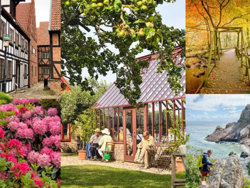 Utforska Skånes charmiga gränder, njut av fika vid ett växthus, vandra i höstfärgad skog eller klättra vid havet. Många aktiviteter Skåne vuxna kan uppleva!