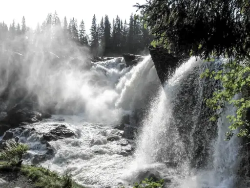 Kraftfullt vattenfall i Sverige med dimma som stiger upp mot en skog av granar.