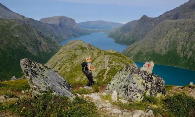 En kvinna vandrar i Jotunheimen med en blå sjö och berg i bakgrunden. En T-märkt sten visar vägen.