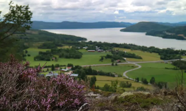 Vacker vy över en svensk sjö med grönskande landskap och en slingrande väg. En perfekt plats för upplevelser i Sverige.