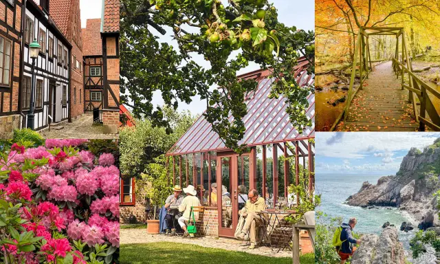 Utforska Skånes charmiga gränder, njut av fika vid ett växthus, vandra i höstfärgad skog eller klättra vid havet. Många aktiviteter Skåne vuxna kan uppleva!