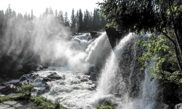 Kraftfullt vattenfall i Sverige med dimma som stiger upp mot en skog av granar.