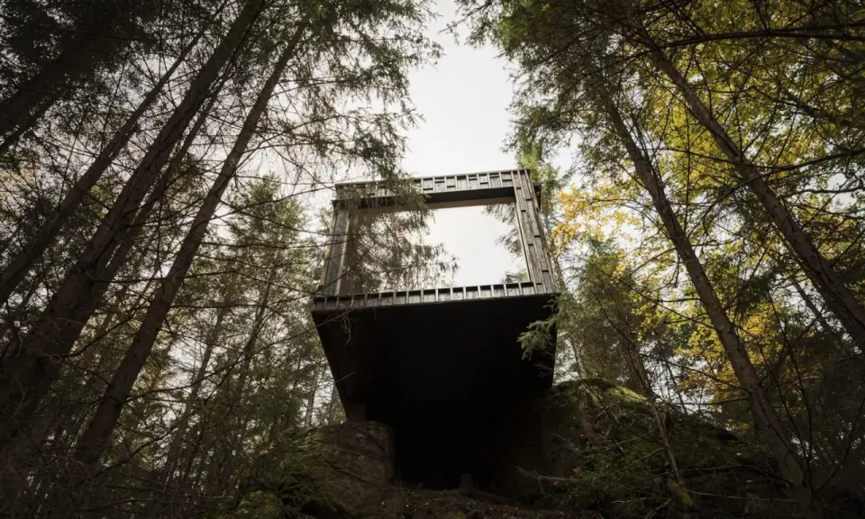 En modern kub med stora fönster svävar bland träden på Hyssna Forest Resort.