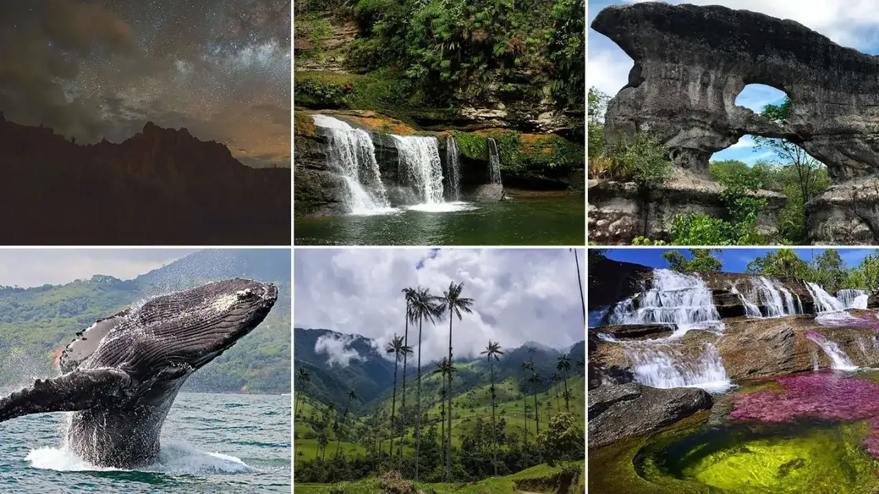 Fakta om Colombia: Stj&auml;rnhimmel, vattenfall, valar, palmer och f&auml;rgstarka floder visar Colombias m&aring;ngfald.