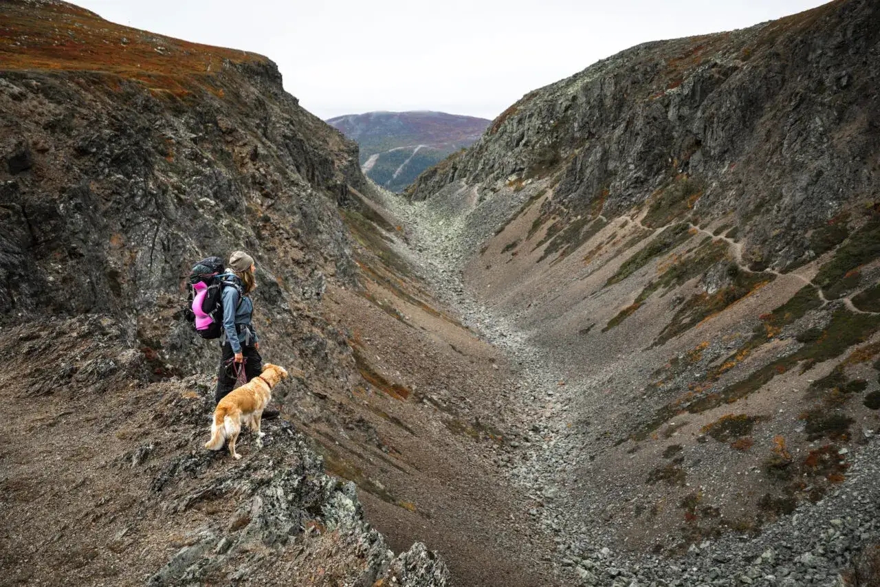 Vandrare med hund njuter av en dagstur i Sveriges dramatiska fj&auml;llandskap.
