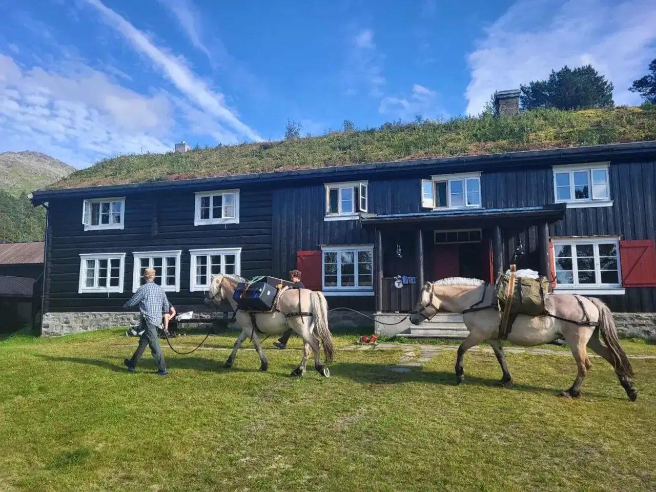 Tv&aring; h&auml;star med packning leds framf&ouml;r en m&ouml;rk tr&auml;byggnad med gr&ouml;nskande tak. F&ouml;rberedelser f&ouml;r en 3 dagars vandring i Norge.