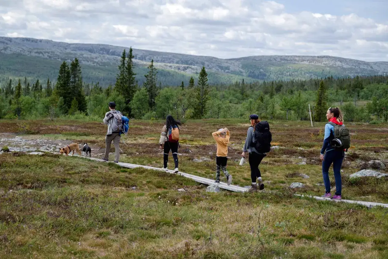 En familj med hundar njuter av en vandring i Storhogna. Vacker natur med skog och berg i bakgrunden.