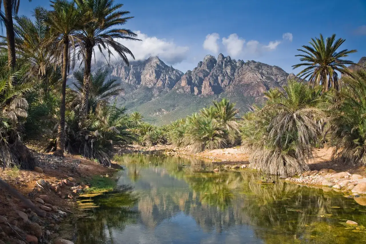 En oas på Socotra, Jemen, med palmer och en spegelblank flod framför dramatiska berg.