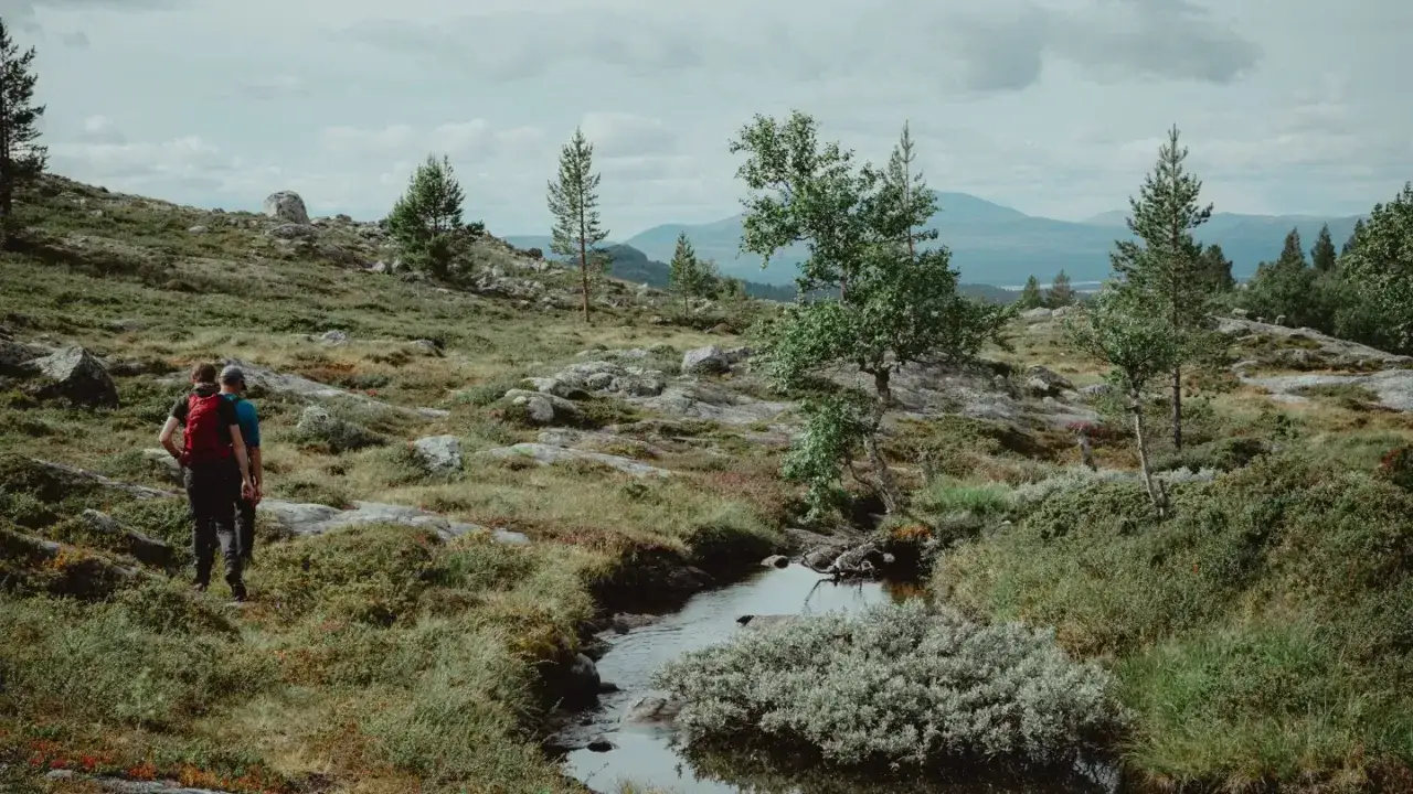Två vandrare går genom ett stenigt landskap med en bäck, en del av Koppången i Orsa.