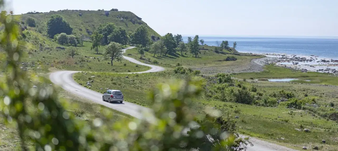 En bil k&ouml;r p&aring; en slingrande v&auml;g l&auml;ngs Gotlands kust. Perfekta gotland tips f&ouml;r en bilsemester.