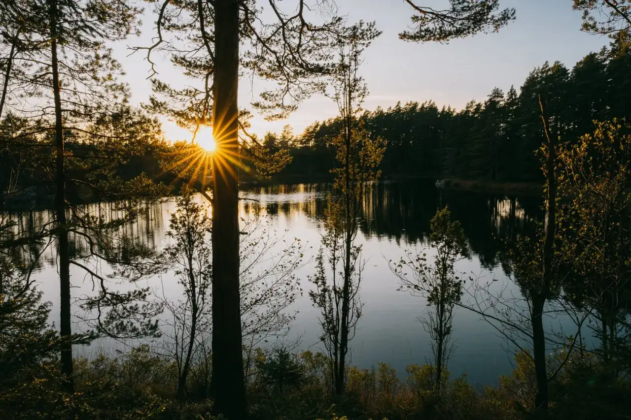 Solnedgång över en sjö i Tivedens nationalpark. Trädens silhuetter mot den gyllene himlen skapar en magisk stämning.