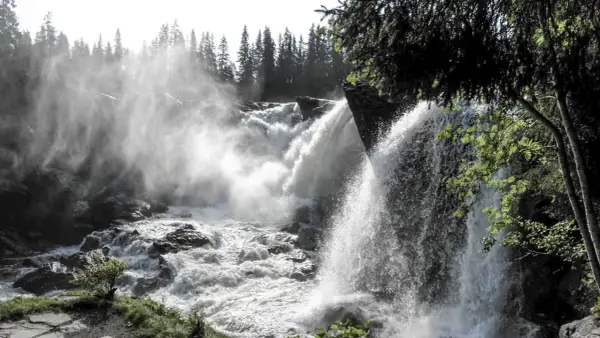 Kraftfullt vattenfall i Sverige med dimma som stiger upp mot en skog av granar.